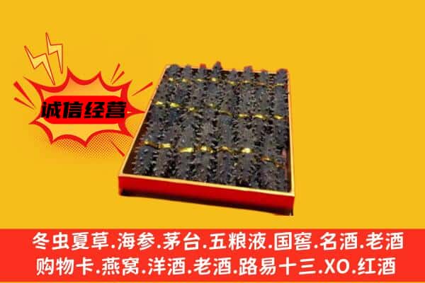 枞阳县回收海参